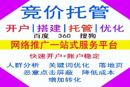 SEM竞价优化策略：成功案例解析